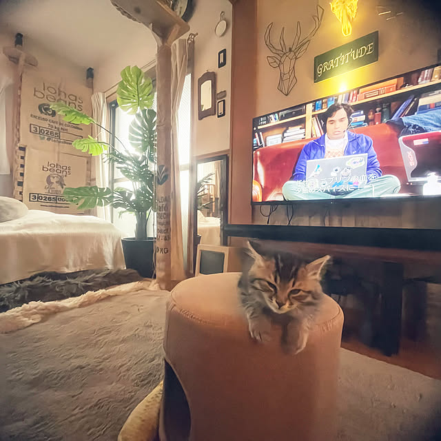 Mさんの部屋