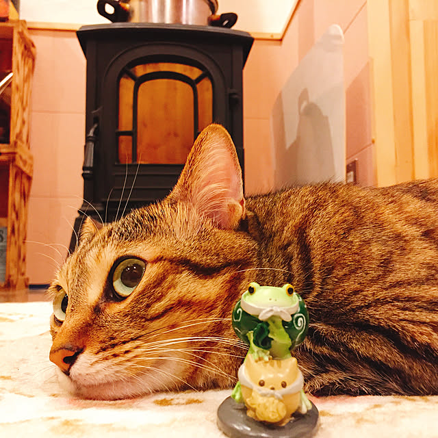 MASAさんの実例写真