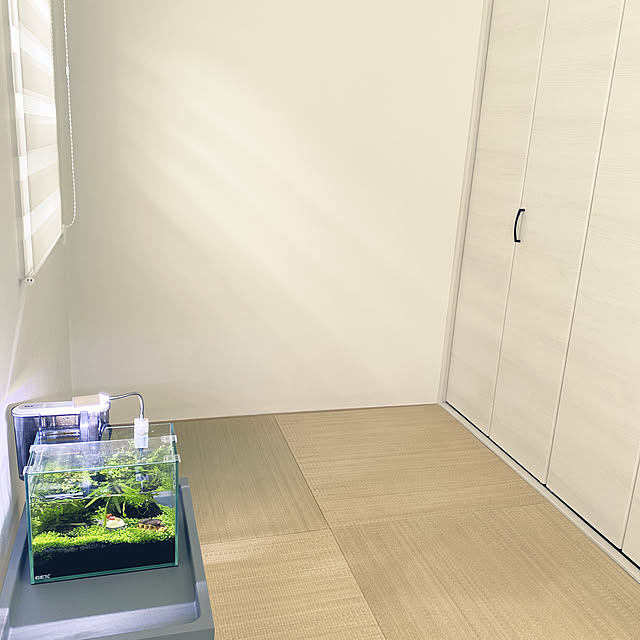 momoさんの実例写真