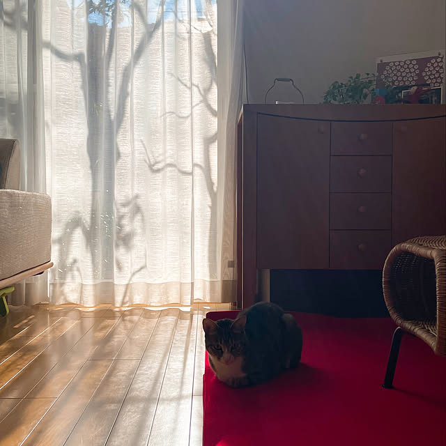 nobikoさんの実例写真