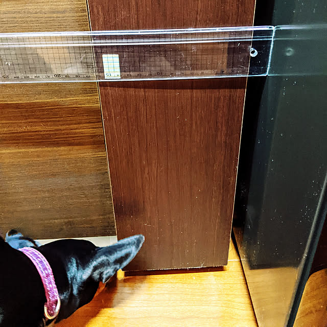 shizuponさんの実例写真