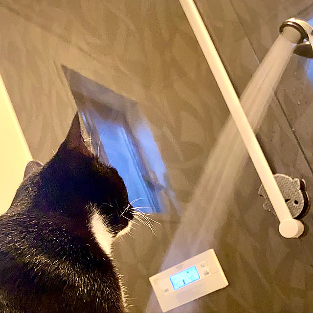 butachanさんの実例写真
