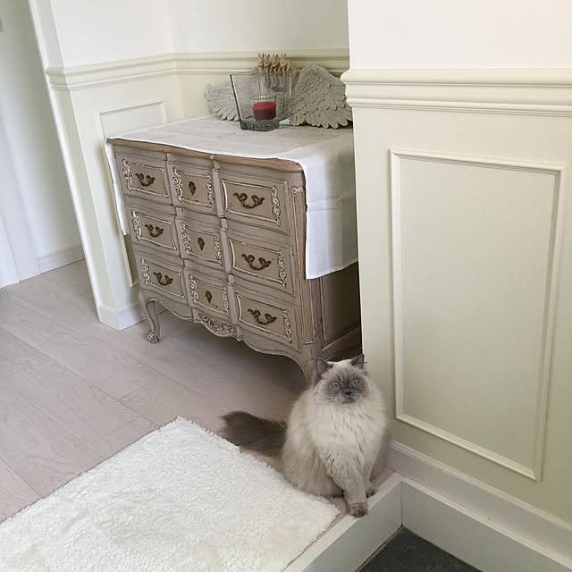 yuchiさんの実例写真