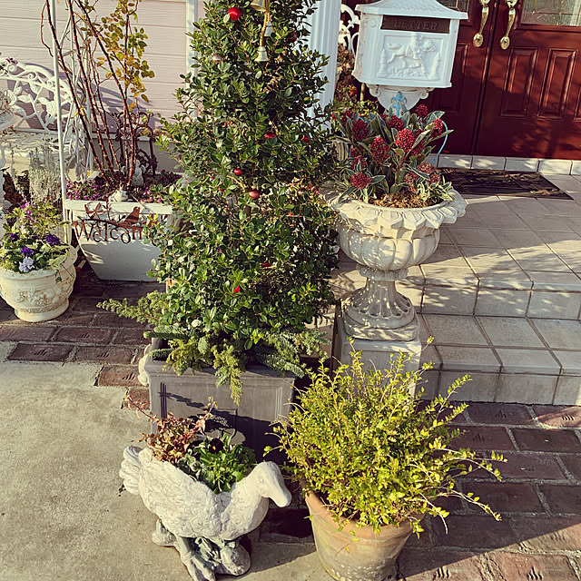 AYUKOさんの実例写真