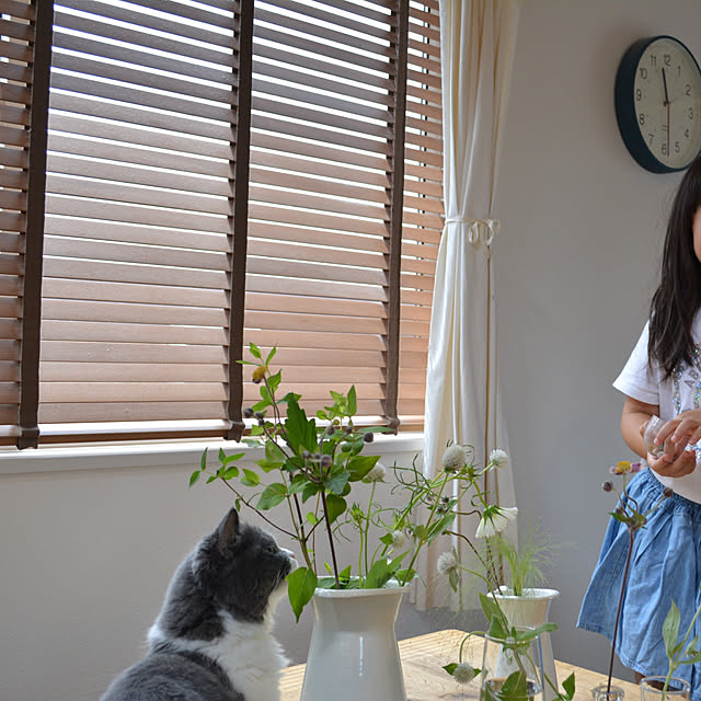 honoさんの実例写真