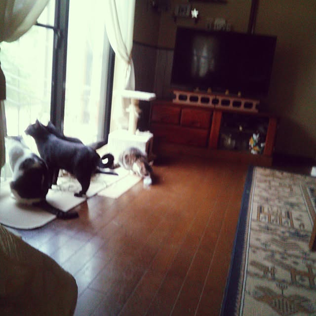 Tomopさんの実例写真