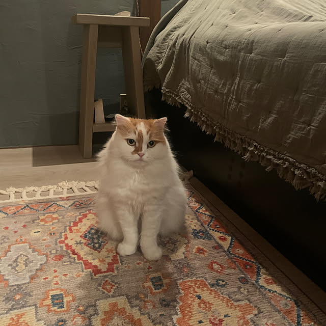 keiさんの部屋