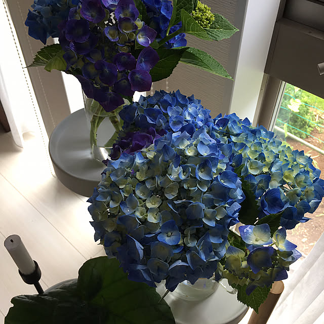 kojimasaさんの部屋