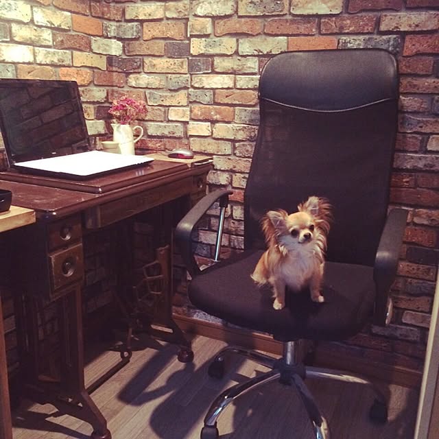 yukiさんの実例写真