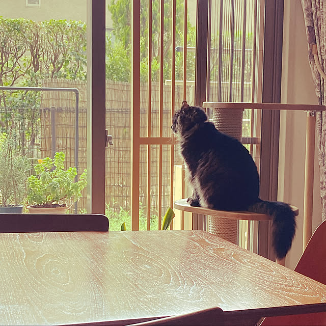 maikosho77さんの実例写真