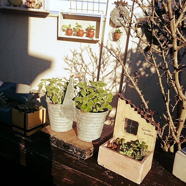 mozuku315さんの実例写真
