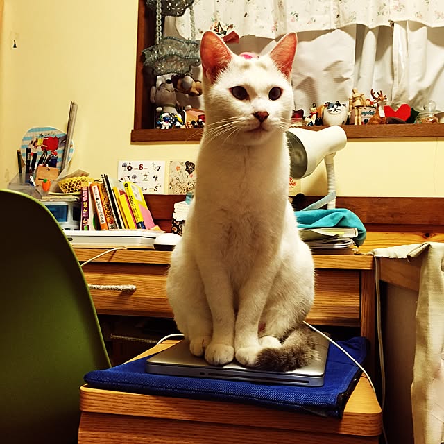 Akaneさんの実例写真