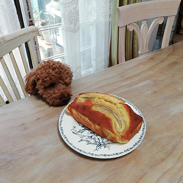 satochiさんの実例写真
