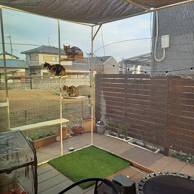 nyangleさんの実例写真