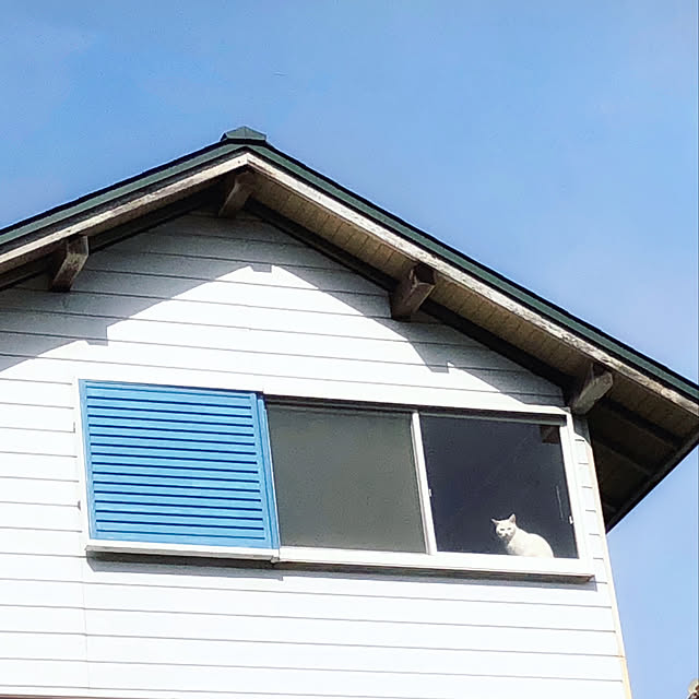 weさんの実例写真
