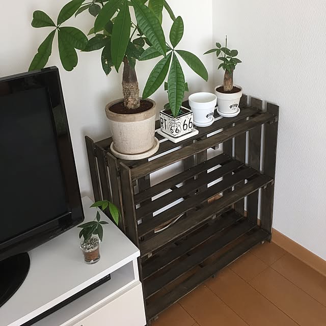yacchiさんの実例写真