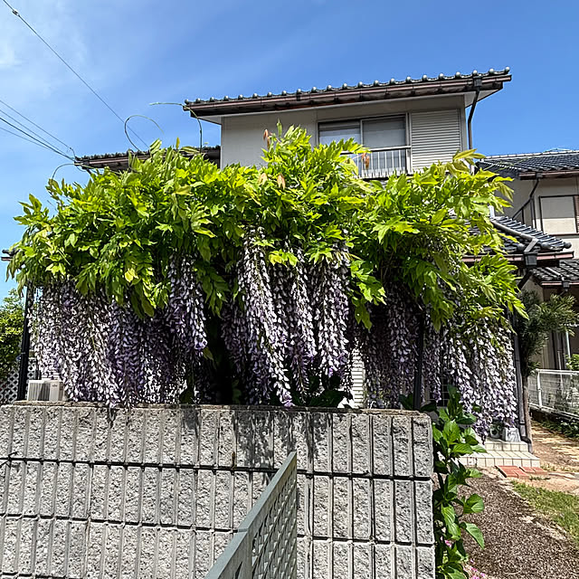 cyaroさんの部屋