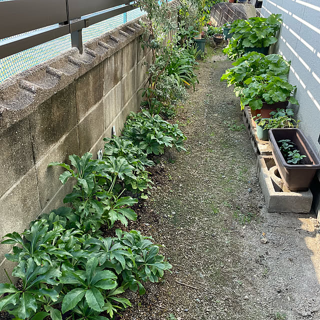 buchiさんの部屋