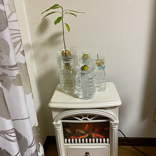 collonさんの部屋