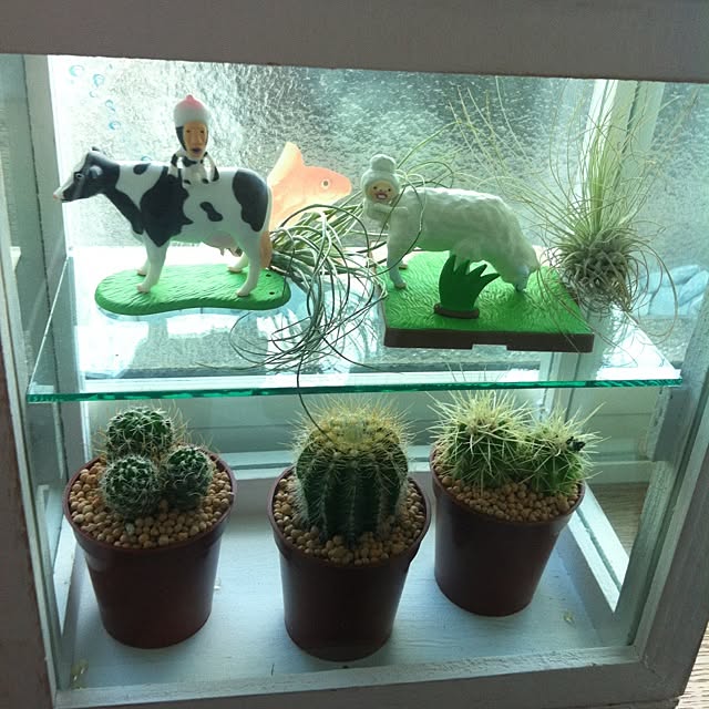 Mさんの実例写真