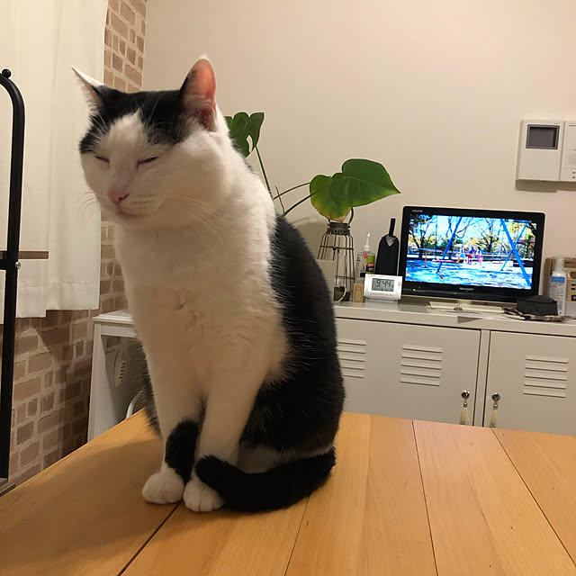 k.Iさんの実例写真
