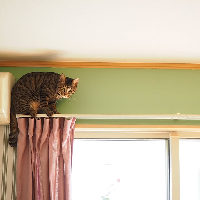 Misatoさんの実例写真