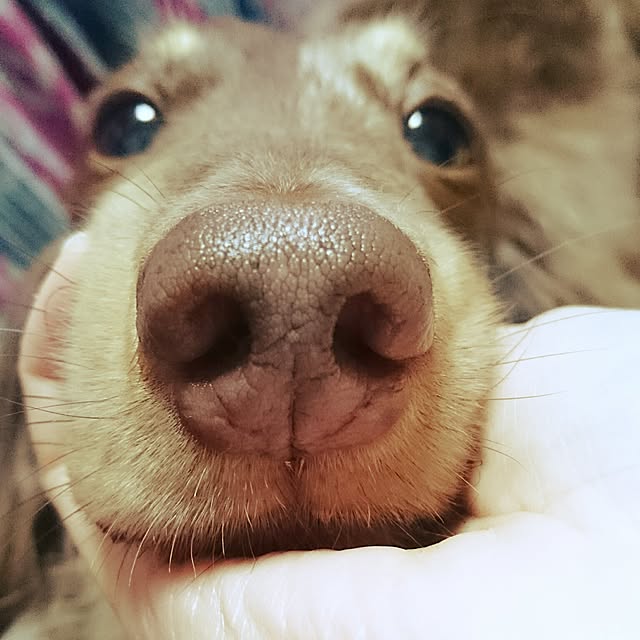 miyonさんの実例写真
