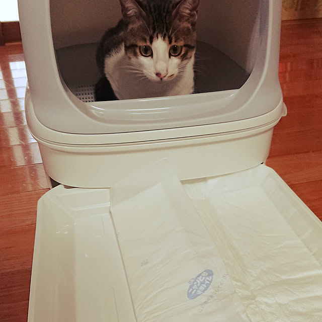 kikuさんの実例写真