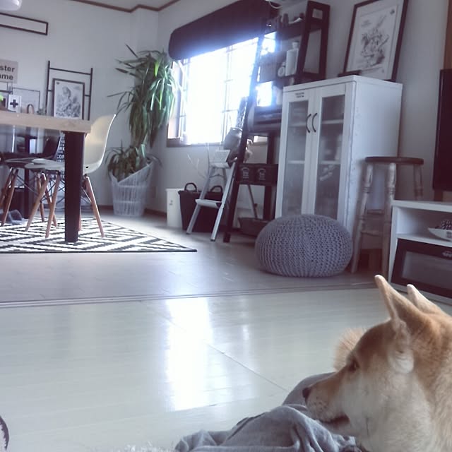kさんの実例写真