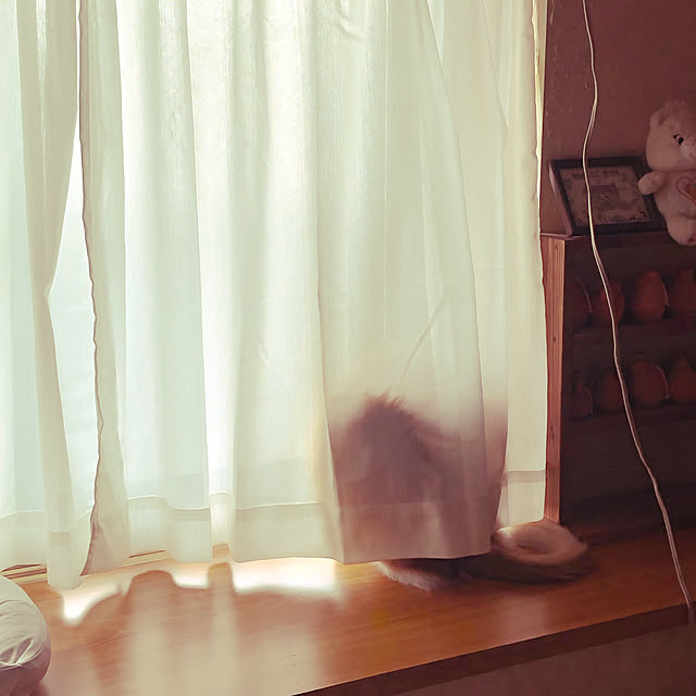 uchidaizuさんの実例写真