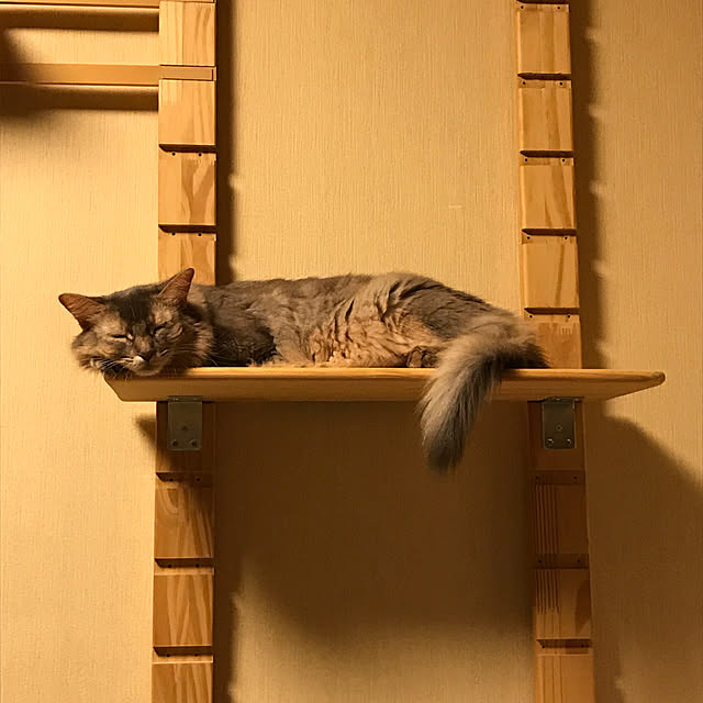 yumuyumuさんの実例写真