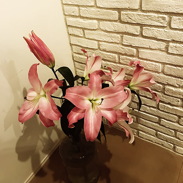 sunny-casablancaさんの実例写真