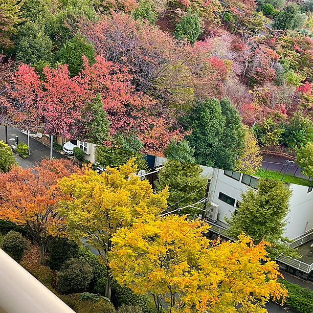 2.11maririnさんの部屋