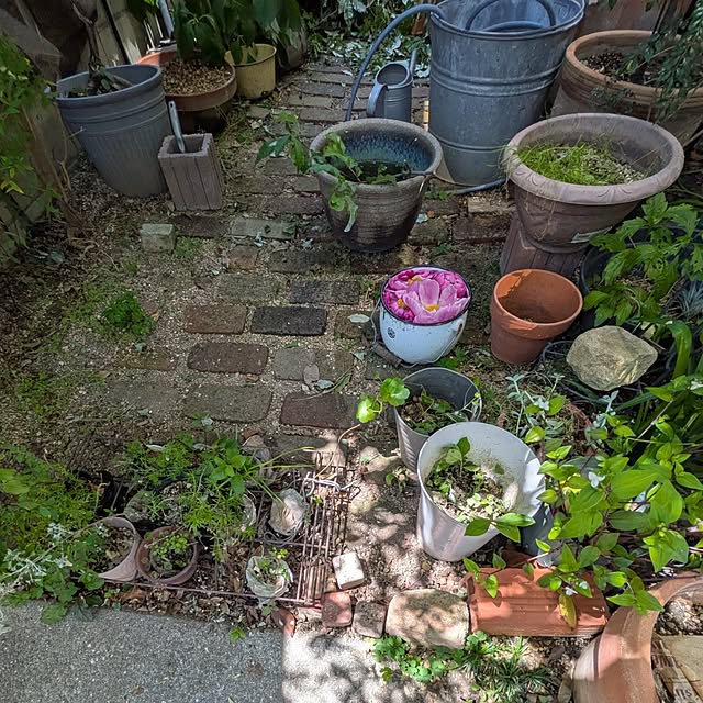 mori_6_12さんの部屋