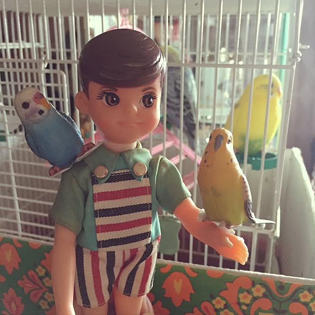 magachanさんの実例写真