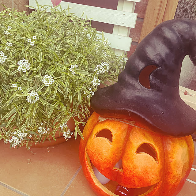 konominさんの部屋