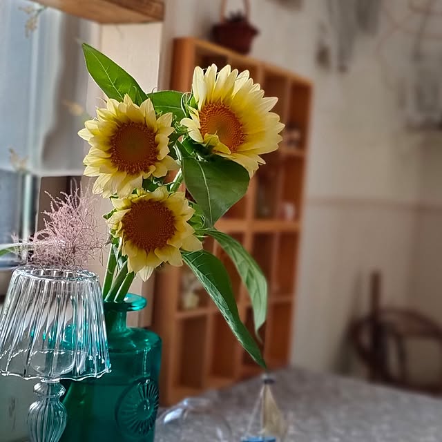 teamoさんの部屋