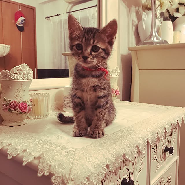emikoさんの実例写真