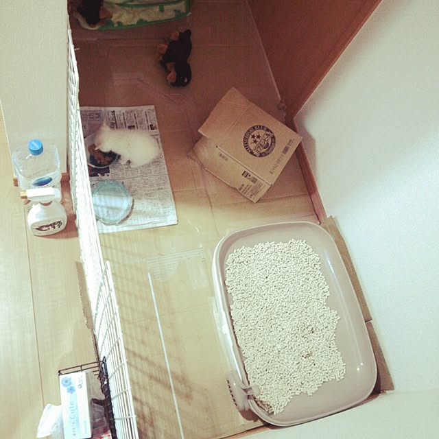nikoさんの実例写真