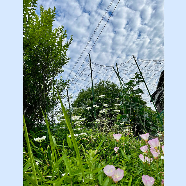 cotaさんの実例写真