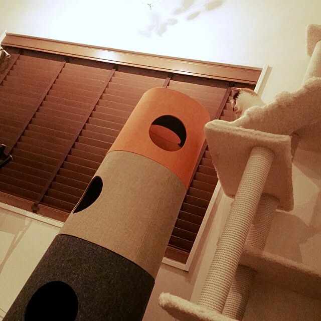 nekogurumaさんの実例写真