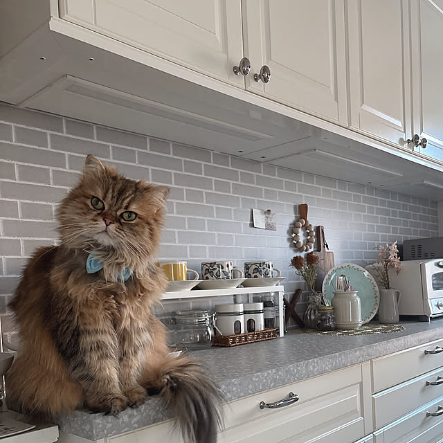 miyu39さんの部屋