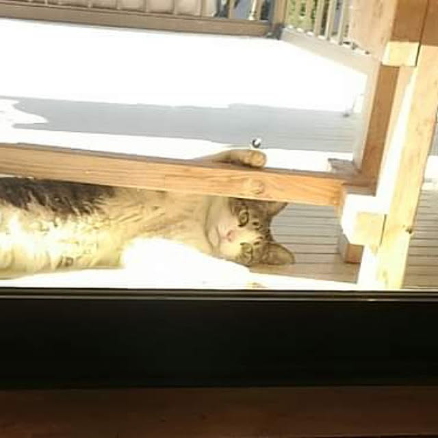 nasakenaiyatuさんの実例写真