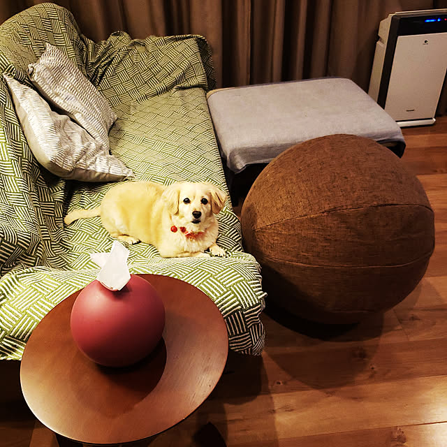chihaさんの実例写真