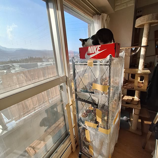 akimameさんの部屋