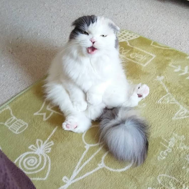 yoneさんの実例写真