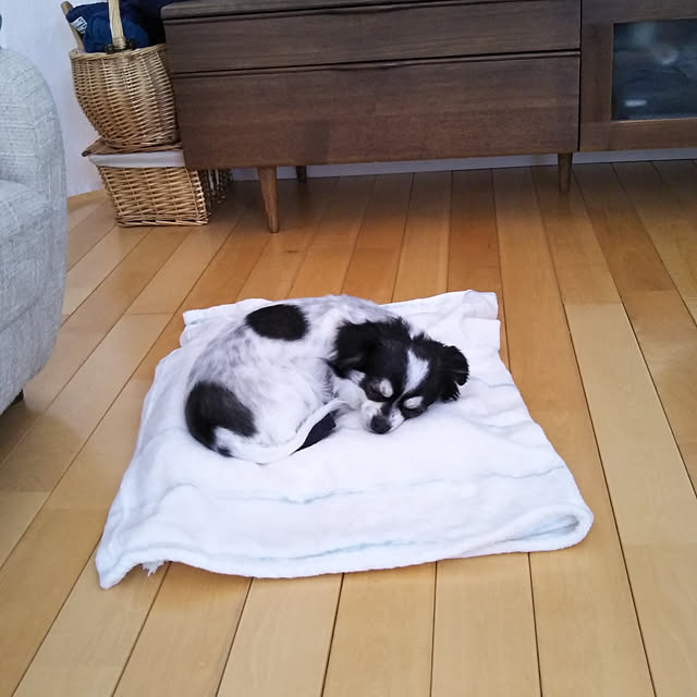 yukkoさんの実例写真