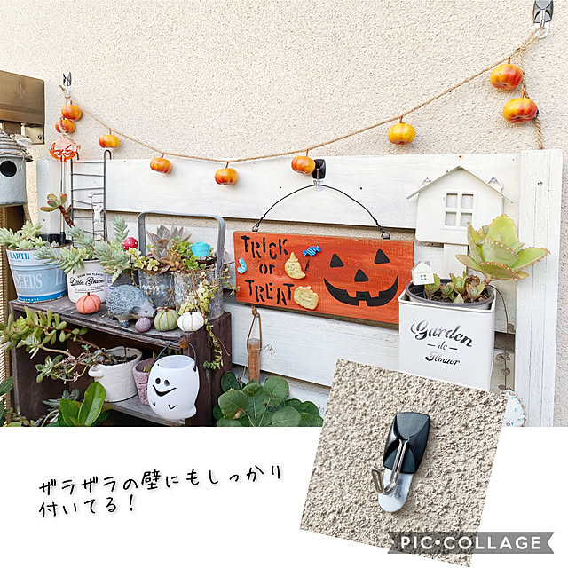 raggedy-aさんの実例写真