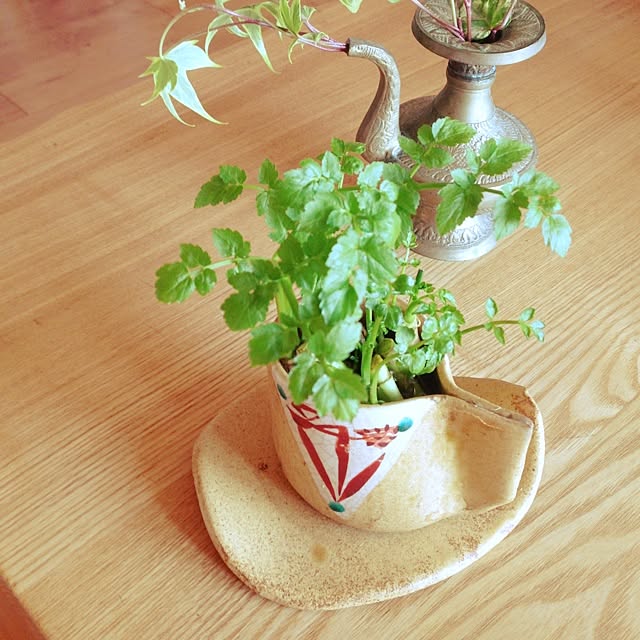 maimaiさんの実例写真