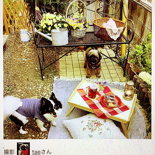 taeさんの実例写真